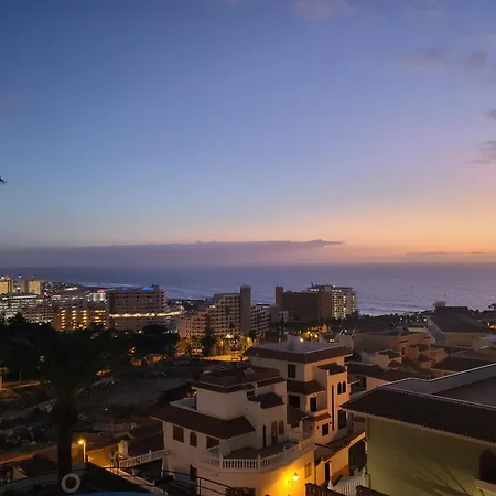 Tucan Next To Siam Park 아데제