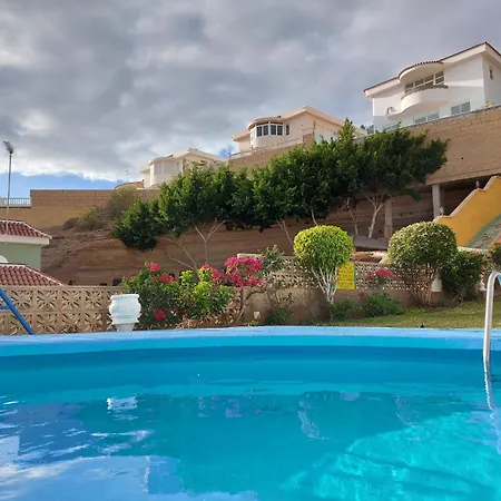 Tucan Next To Siam Park 아데제