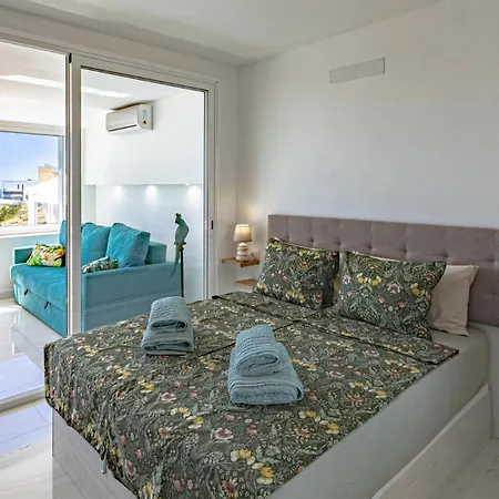 Tucan Next To Siam Park Costa Adeje (Tenerife)